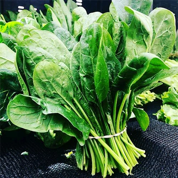 Fresh Palak (Spinach) Leaves 1kilogram - 1 Kg