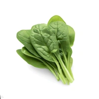 Fresh Palak (Spinach) Leaves 1kilogram - 1 Kg