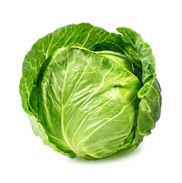 Fresh Green Cabbage(पत्तागोभी) 1kg - 1 Kilograms