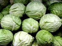Fresh Green Cabbage(पत्तागोभी) 1kg - 1 Kilograms