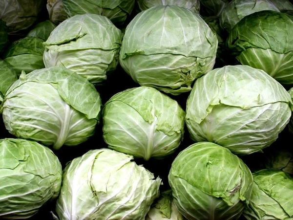 Fresh Green Cabbage(पत्तागोभी) 1kg - 1 Kilograms