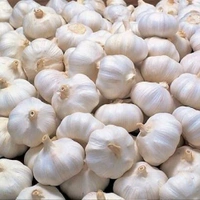 Fresh Garlic 🧄(Lahsun)1 Kg|लहसन 1 किलो 