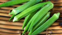 Farm Fresh Ladyfinger(Bhindi)1kg|खेतों से ताज़ा भिंडी 1 किलोग्राम  - Green, 1 Kilograms
