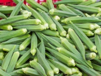 Farm Fresh Ladyfinger(Bhindi)1kg|खेतों से ताज़ा भिंडी 1 किलोग्राम  - Green, 1 Kilograms