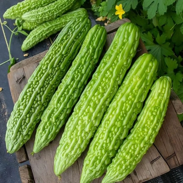 Krela  Farm Fresh Bittermelon(करेला) 1 Kilograms|Fresh Krela - Green, 1 Kiligrams, 1 Kilograms