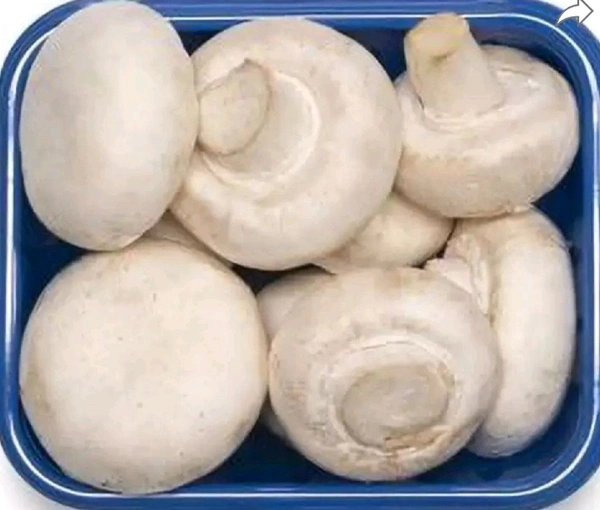 Orgenic  Button Mushroom Fresh Orgenic 200gm - White, 275101