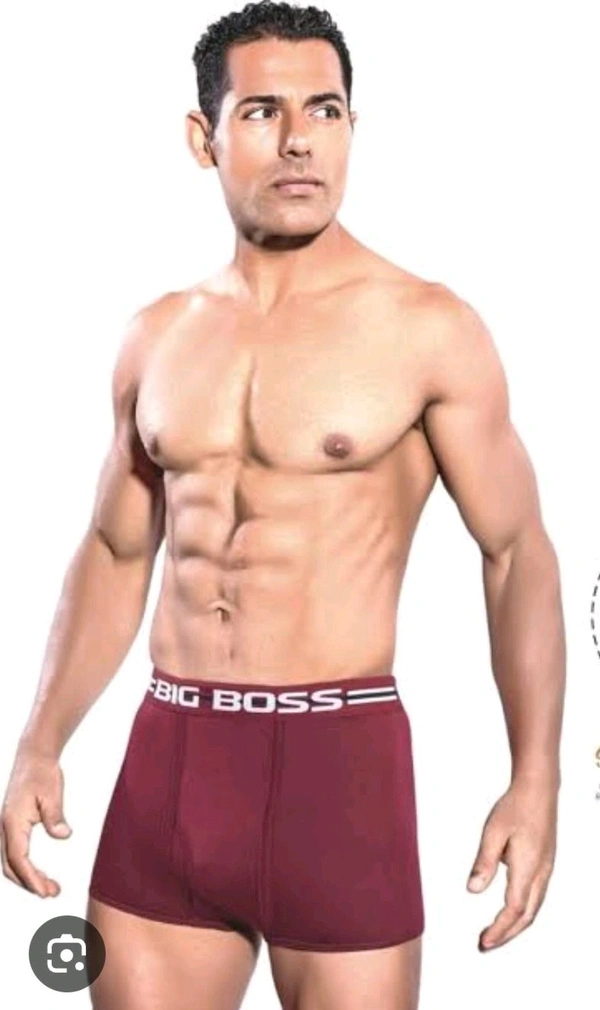 Bigg Boss Big Boss Double Dacker Long Trunk  - Brown, 75