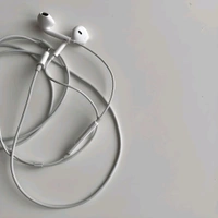 Wired Earphones