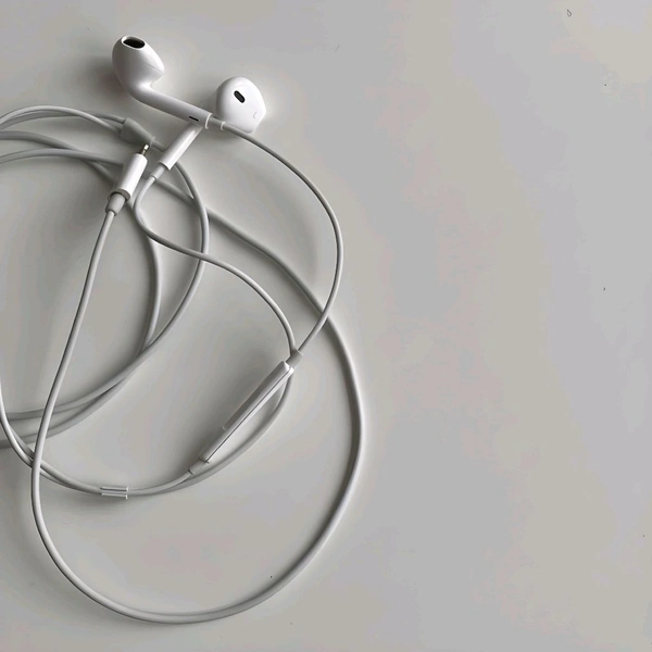 Wired Earphones