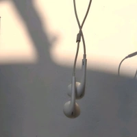 Wired Earphones