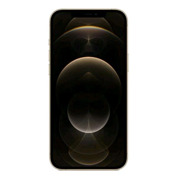 IPhone 12 Pro Max - 256gb