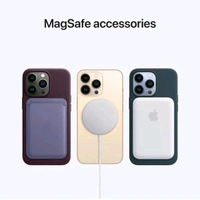 IPhone 13 Pro Max - 256gb