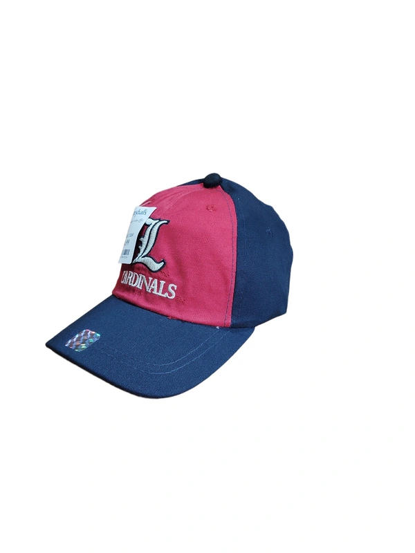 KIDS EMBROIDERED COTTON MATERIAL MULTI COLOR MULTI DESIGN CAP CLOSURE TYPE VELCRO  - FREE SIZE, 6