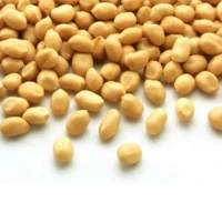 Sikandar Premium Roasted Peanut - Classic Salted 500g - Foil Pack