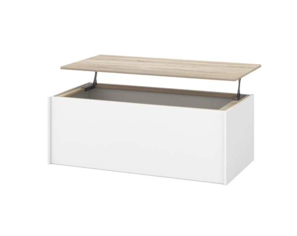 CENTRE TABLE CT-01