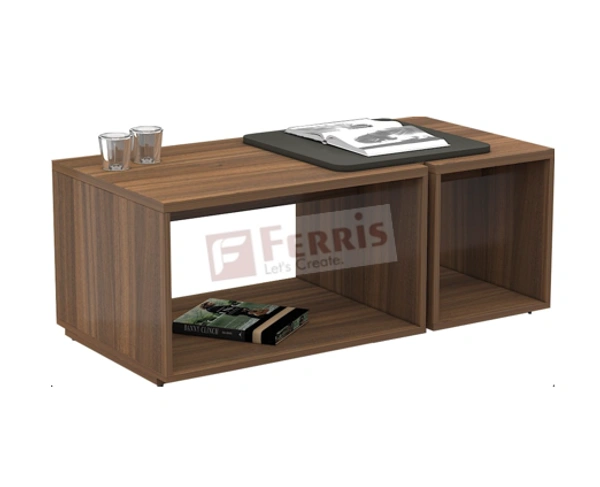 CENTRE TABLE F-CT-002