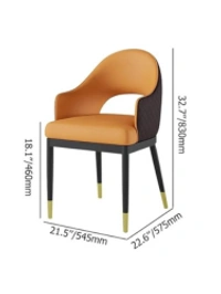 Ferris FINE DING CHAIR FHDR-C-013 - STANDARD SIZE, FERRIS SHADE CARD