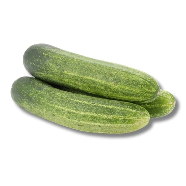 Cucumber Hybrid - 500g