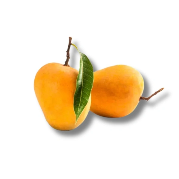 Alphonso Mango - 12 Pcs