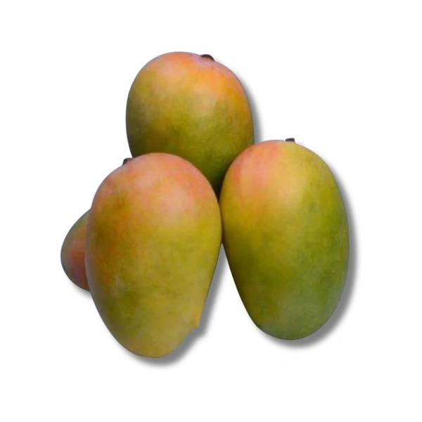 Kesar Mango - 2 kg