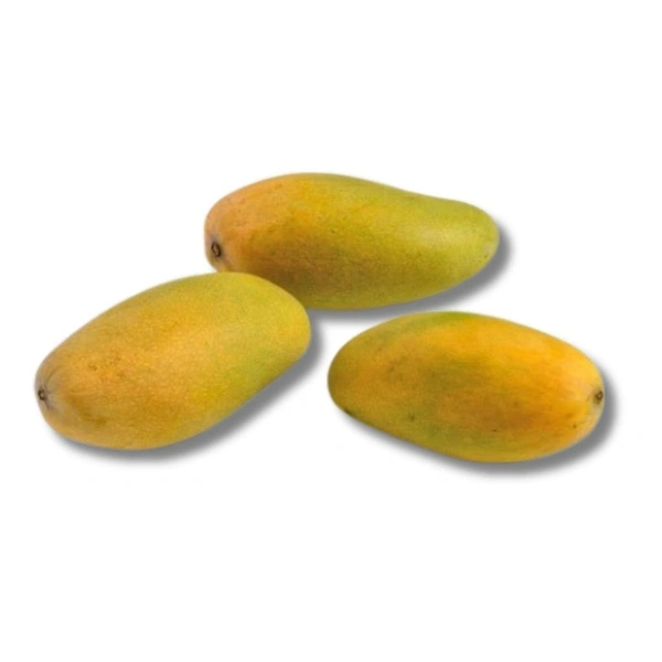 Dasheri Mango - 2 Kg