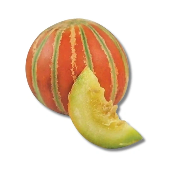 Kajri Melon (Kharbuja) - 1 Pc (600g-800g)