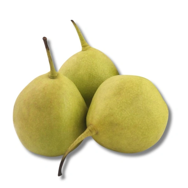 Nakh Pears - 5 Pcs (450g-500g)