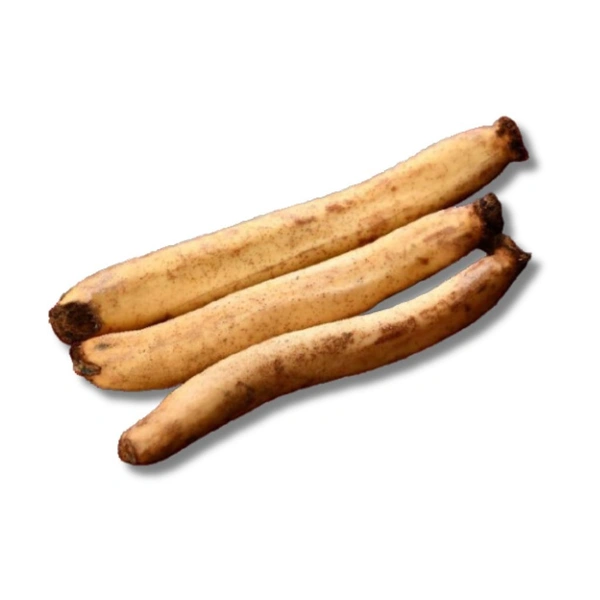 Lotus Stem - 250g