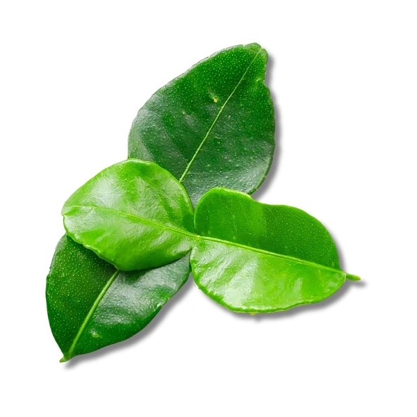 Lemon Leaf - 100g