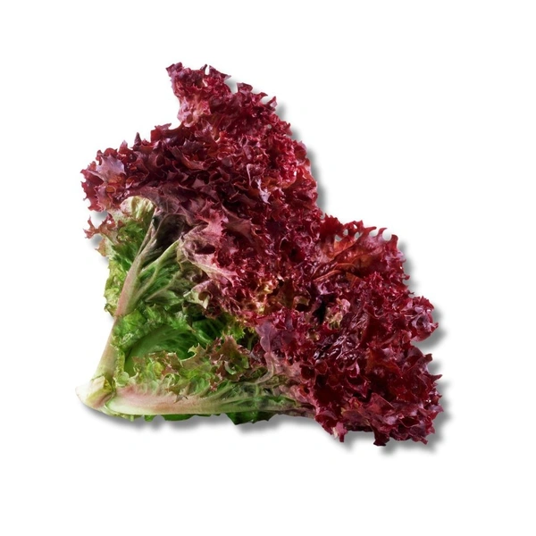 Lettuce Lollo Rosso - 250g