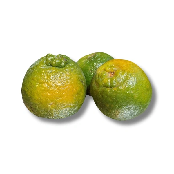 Orange - 5 Pcs (900g-1Kg)