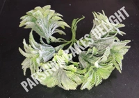 FILLINGS - DELIGHT 120, 6 PCS BUNCH