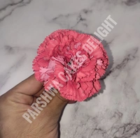 CARNATION - 4 PCS PACK, DELIGHT 195