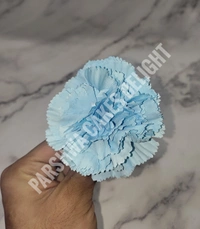 CARNATION - DELIGHT 199, 4 PCS PACK