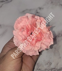 CARNATION - 4 PCS PACK, DELIGHT 200