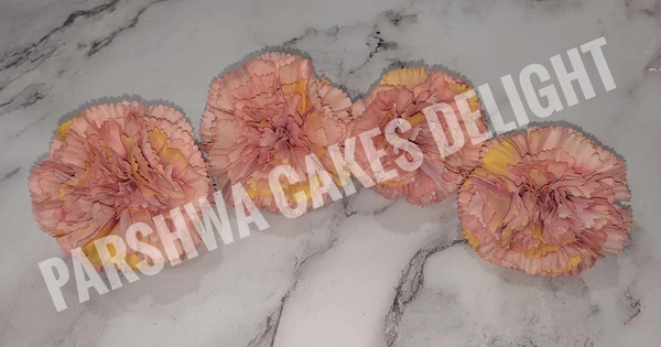 CARNATION - DELIGHT 201, 4 PCS PACK