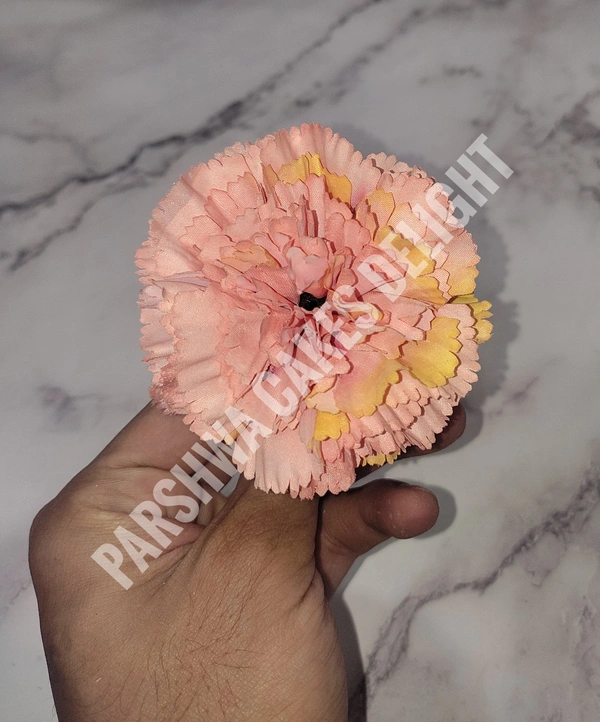 CARNATION - DELIGHT 201, 4 PCS PACK