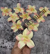 FLOWER - DELIGHT 211, 10 PCS PACK