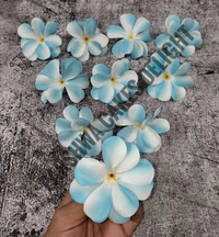 FLOWER - DELIGHT 215, 10 PCS PACK