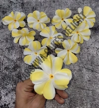 FLOWER - DELIGHT 216, 10 PCS PACK
