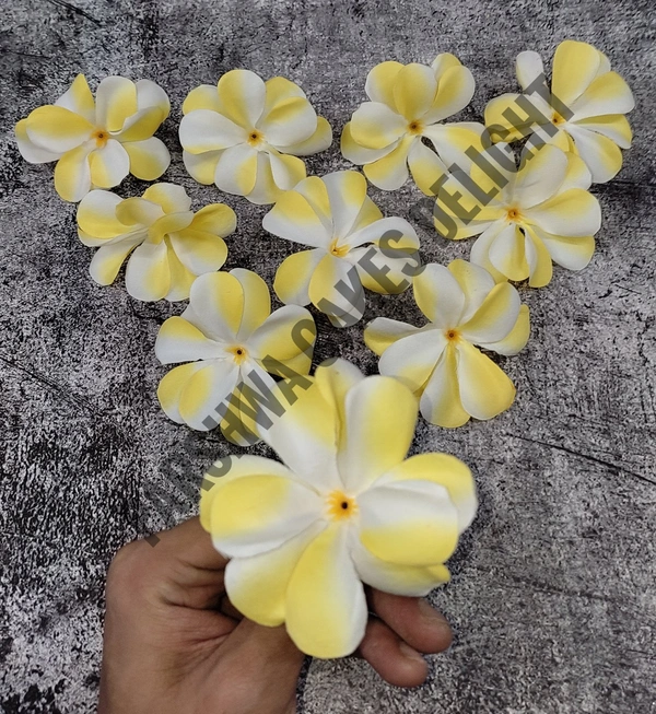 FLOWER - DELIGHT 216, 10 PCS PACK