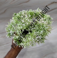 IMPORTED GYPSY BUNCH - White