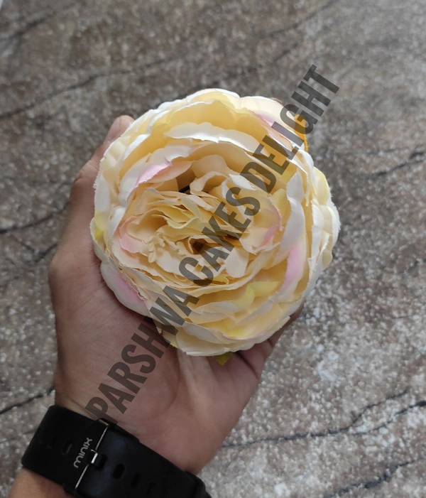 BIG PEONY - Delight 17, 1 Pc