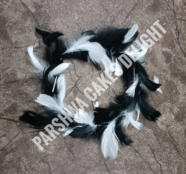 CIRCLE FEATHER - PCD 6