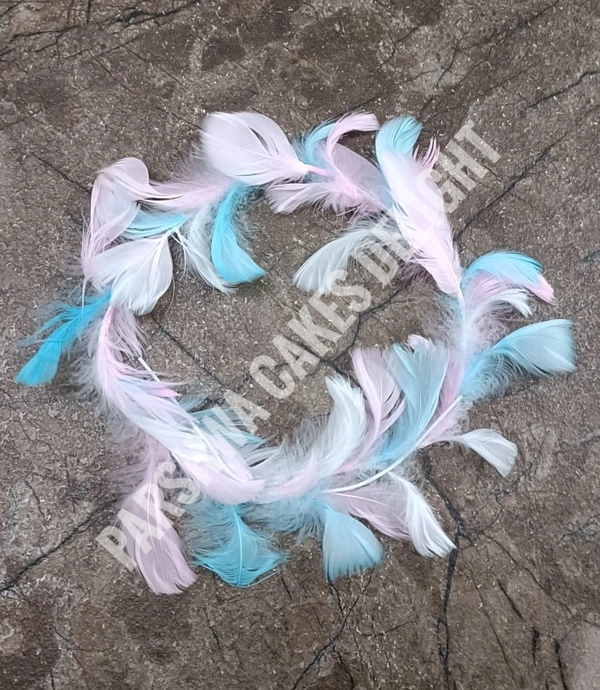 CIRCLE FEATHER FOR BABY SHOWER  - PCD 7