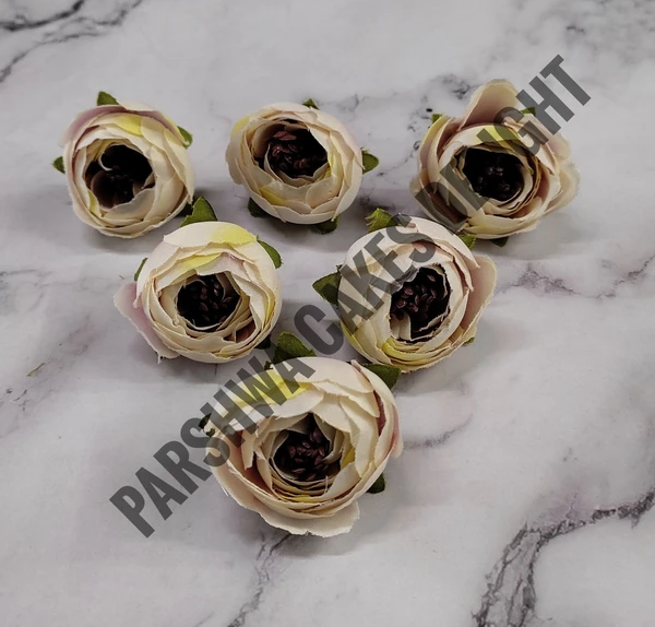 SMALL PEONY  - DELIGHT 250, 6 PCS