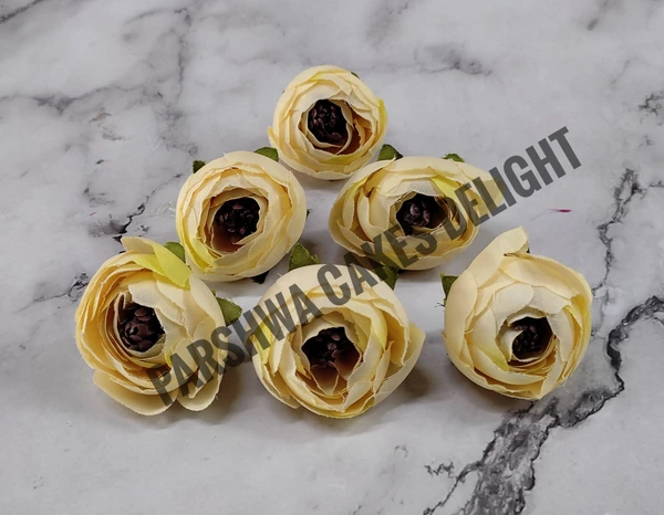 SMALL PEONY  - DELIGHT 252, 6 PCS