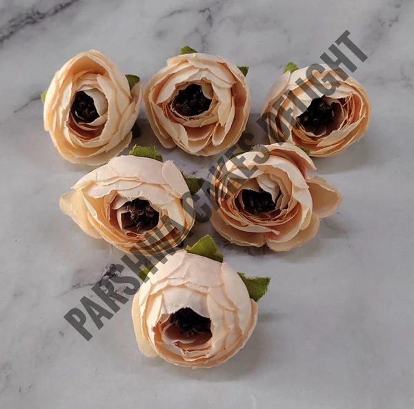 SMALL PEONY  - DELIGHT 255, 6 PCS