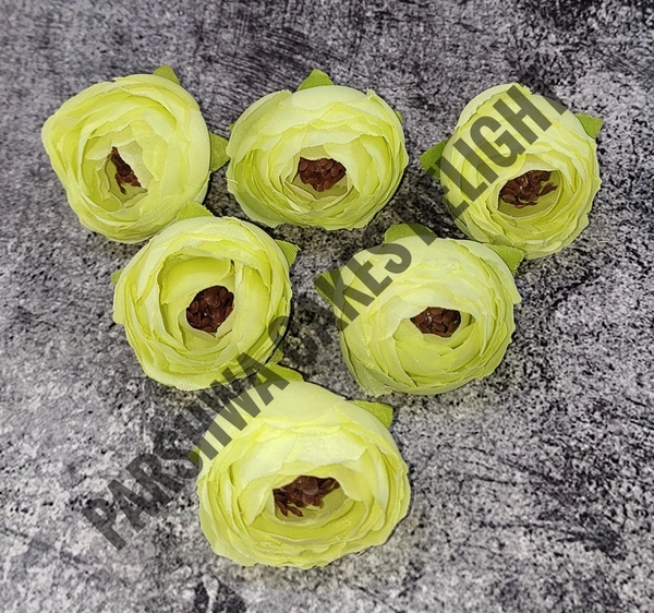 SMALL PEONY  - Delight 363, 6 Pcs Pack