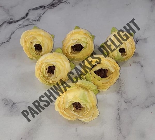 SMALL PEONY  - DELIGHT 254, 6 PCS